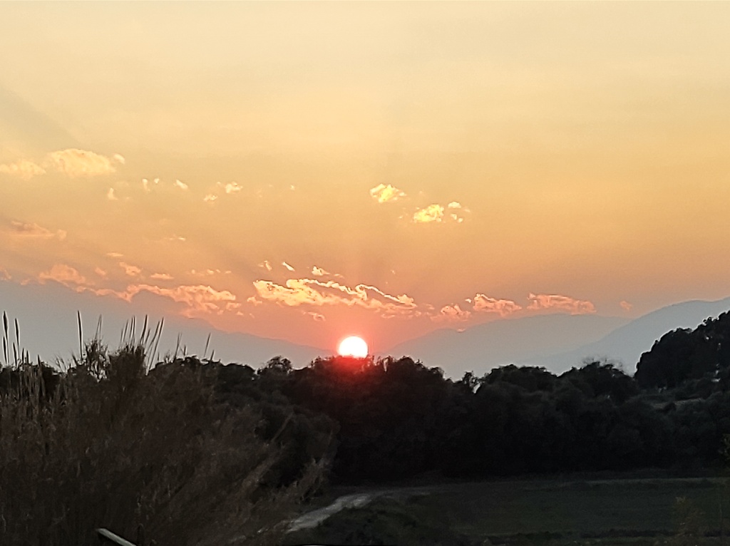 No s'ha trobat l'arxiu